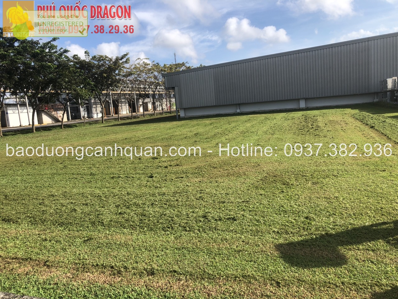 Bảo dưỡng chăm sóc cảnh quan nhà máy ở Đồng Nai