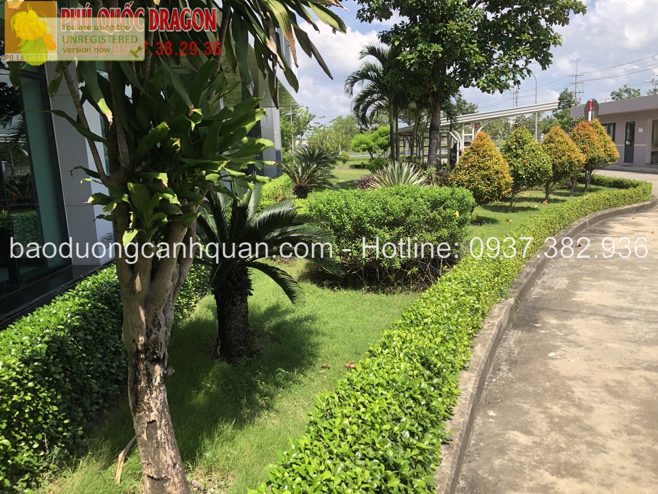 Công ty cảnh quan cây xanh ở  HCM, Đồng Nai, TPHCM