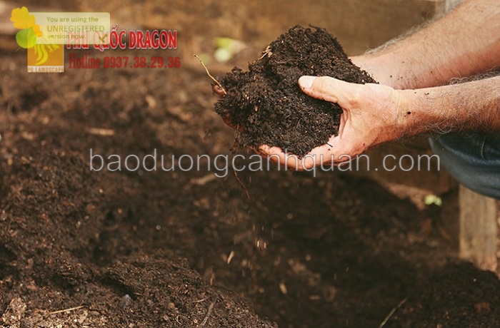 Cung cấp đất màu trồng cây, đất phù sa ở Đồng Nai