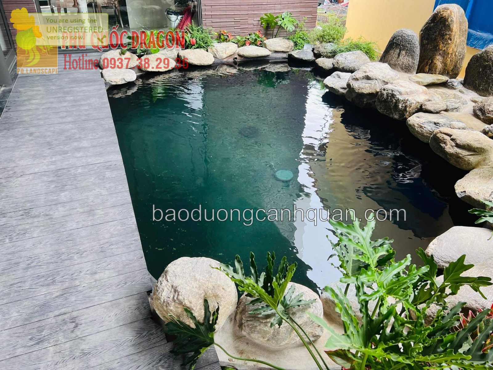 Thiết kế thi công cảnh quan hồ cá Koi ở Đồng Nai, HCM