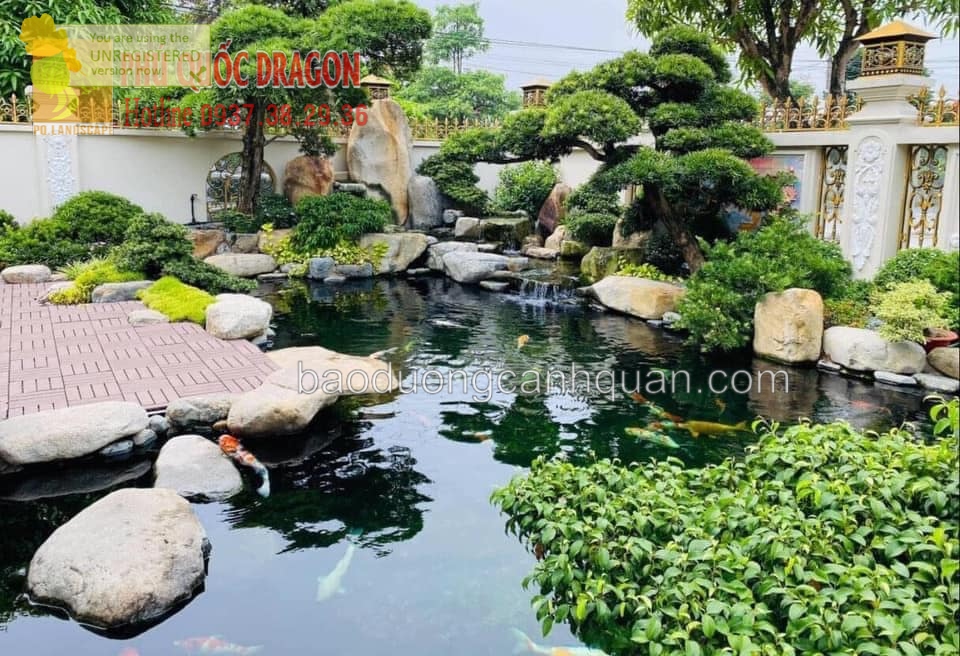 Thi công thiết kế hồ cá Koi ở TPHCM, Vũng Tàu