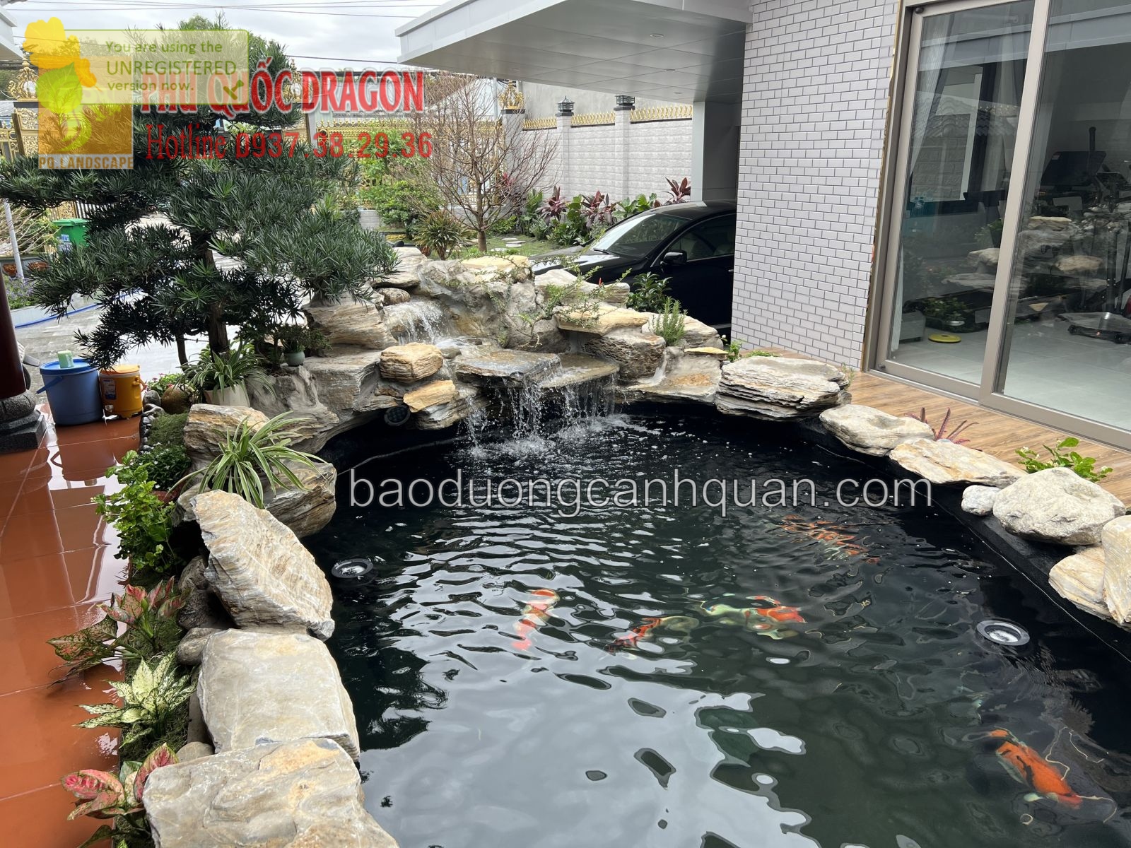 Vệ sinh bể lọc hồ cá koi chuẩn giá rẻ ở HCM