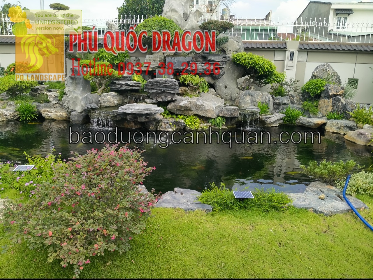 Vẻ đẹp hồ cá Koi trong thiết kế cảnh quan