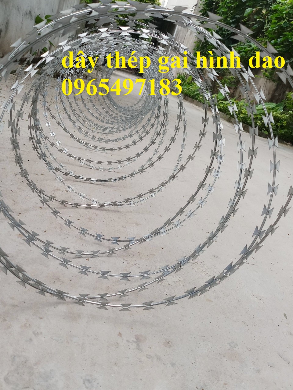 Dây gai tôn,dây thép gai lưỡi dao có sẵn đường kính 35,45,60, 80 cm