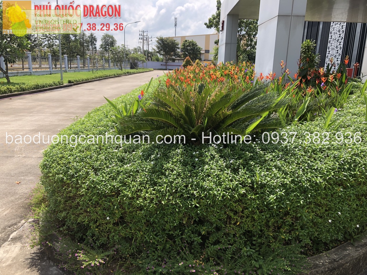 Dịch vụ chăm sóc bảo dưỡng cây xanh nhà máy ở Đồng Nai