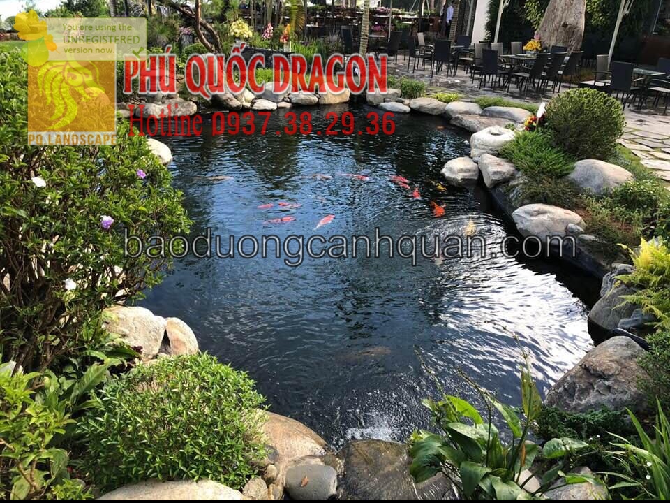 Quy trình thiết kế hồ cá Koi ở TPHCM, Đồng Nai