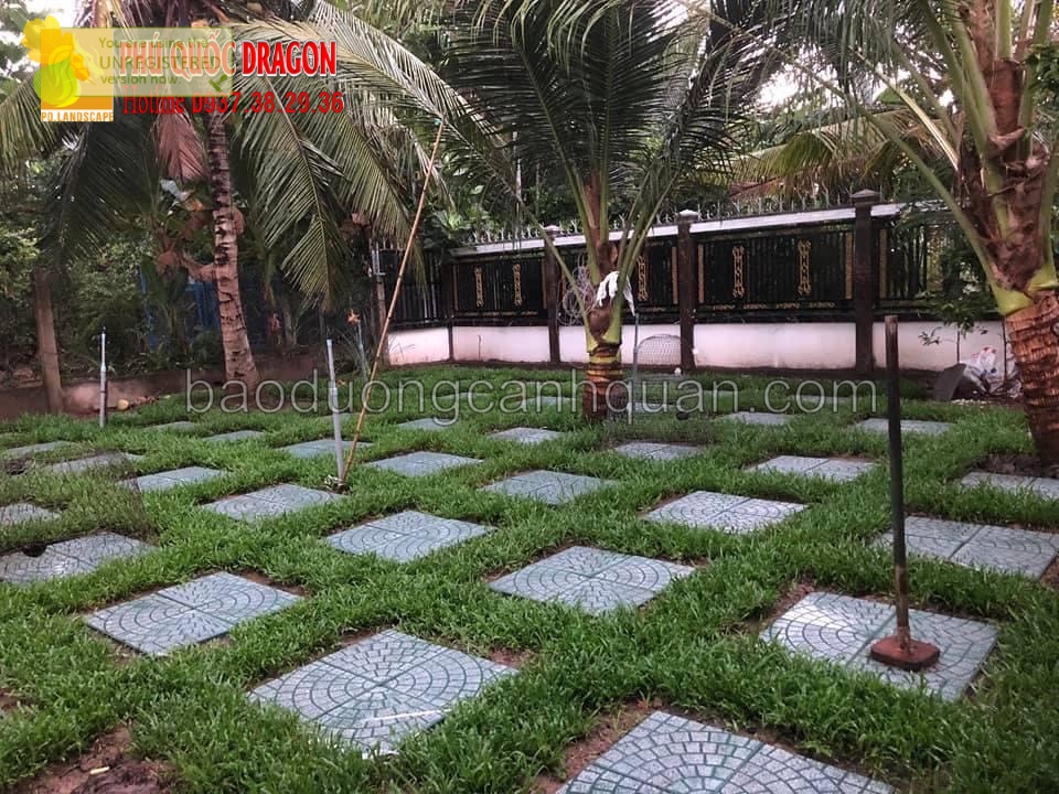 Trồng cỏ sân vườn đẹp ở TPHCM, Đồng Nai, Vũng Tàu