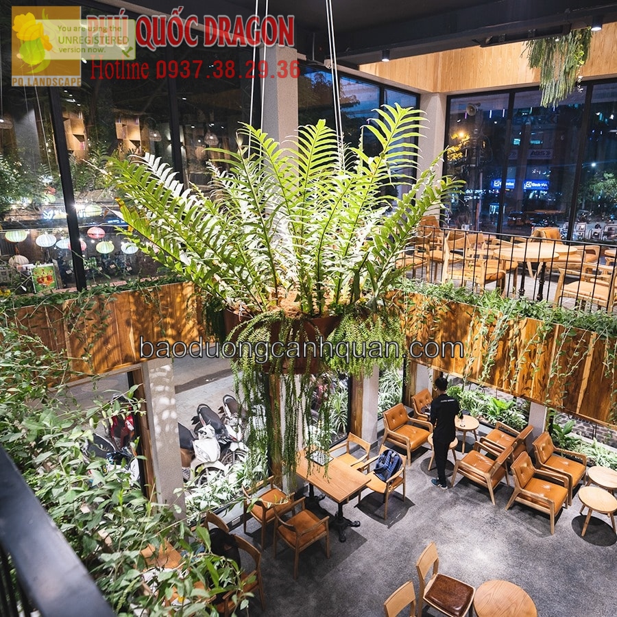 Thiết kế thi công quán cafe ở TPHCM, Đồng Nai, BRVT