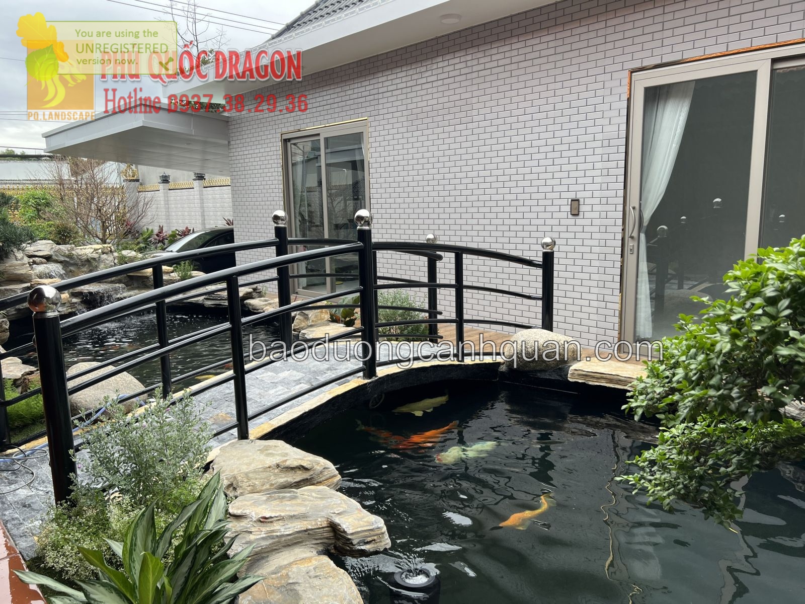 Thi công hồ cá Koi ở TPHCM, Đồng Nai, Long AN