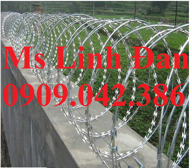 Dây thép gai hình giao chống trộm luôn có sẵn ở kho