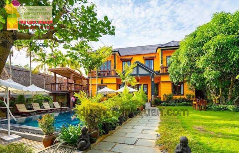 Thi công trồng cỏ lá gừng sân vườn ở TPHCM