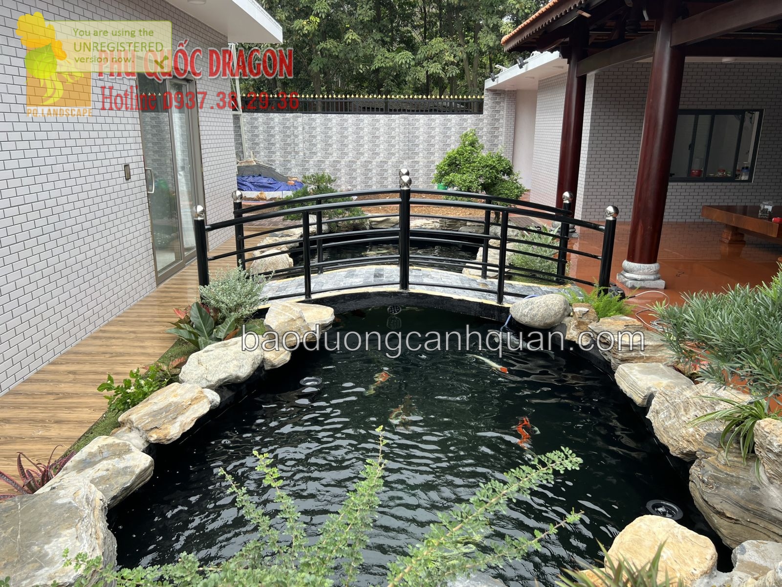 Thi công hồ cá Koi chuẩn Nhật ở TPHCM, Đồng Nai, Bình Dương