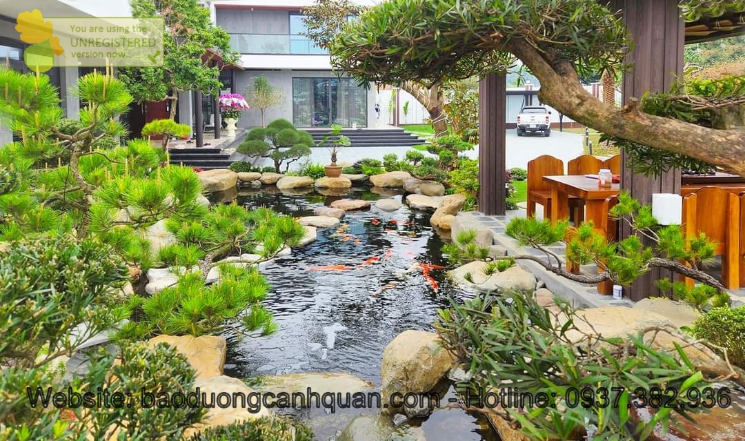 Thi công hồ cá Koi, vườn nhật ở HCM, Đồng Nai