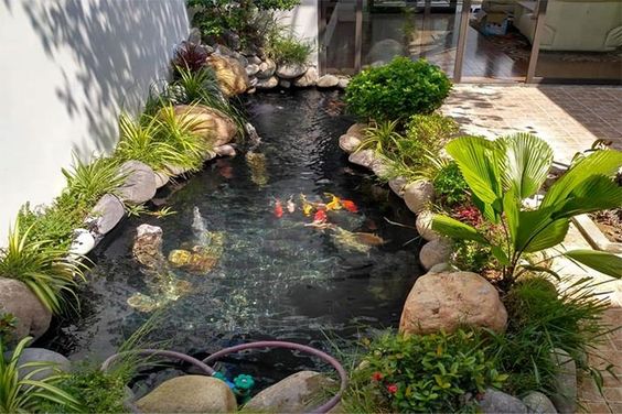 Thi công hồ Koi chống thấm uy tín ở TPHCM, Đồng Nai
