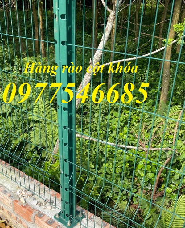 Lưới thép hàng rào mạ kẽm, lưới hàng rào mạ kẽm D4a50x50