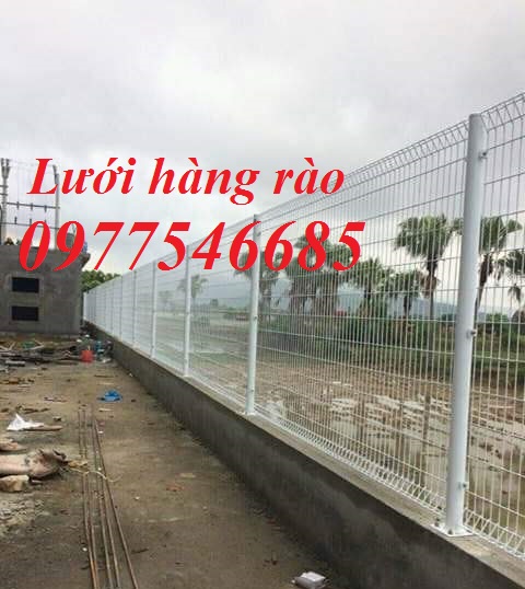 Lưới thép hàng rào mạ kẽm, lưới hàng rào mạ kẽm D4a50x50