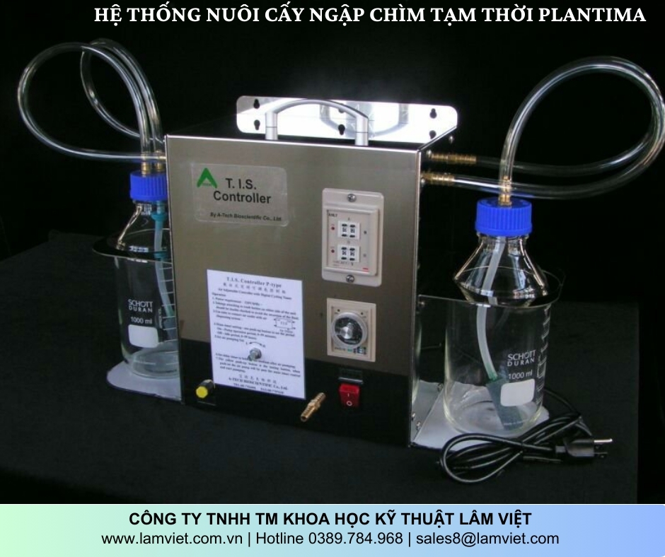 Hệ thống nuôi cấy ngập chìm tạm thời