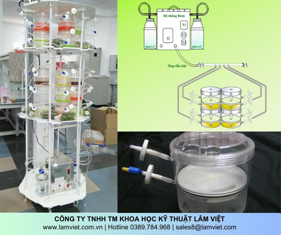 Hệ thống nuôi cấy ngập chìm tạm thời