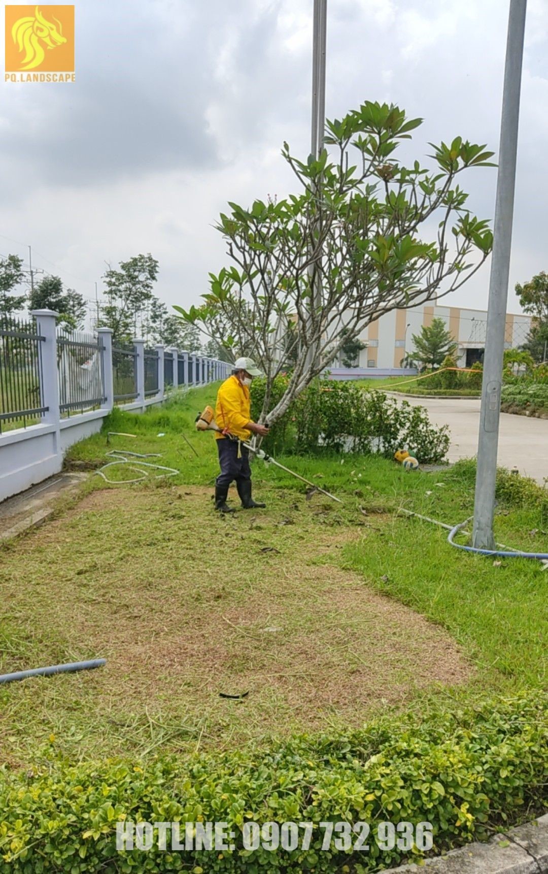 Công ty cây xanh, dịch vụ cắt cỏ ở Đồng Nai, HCM