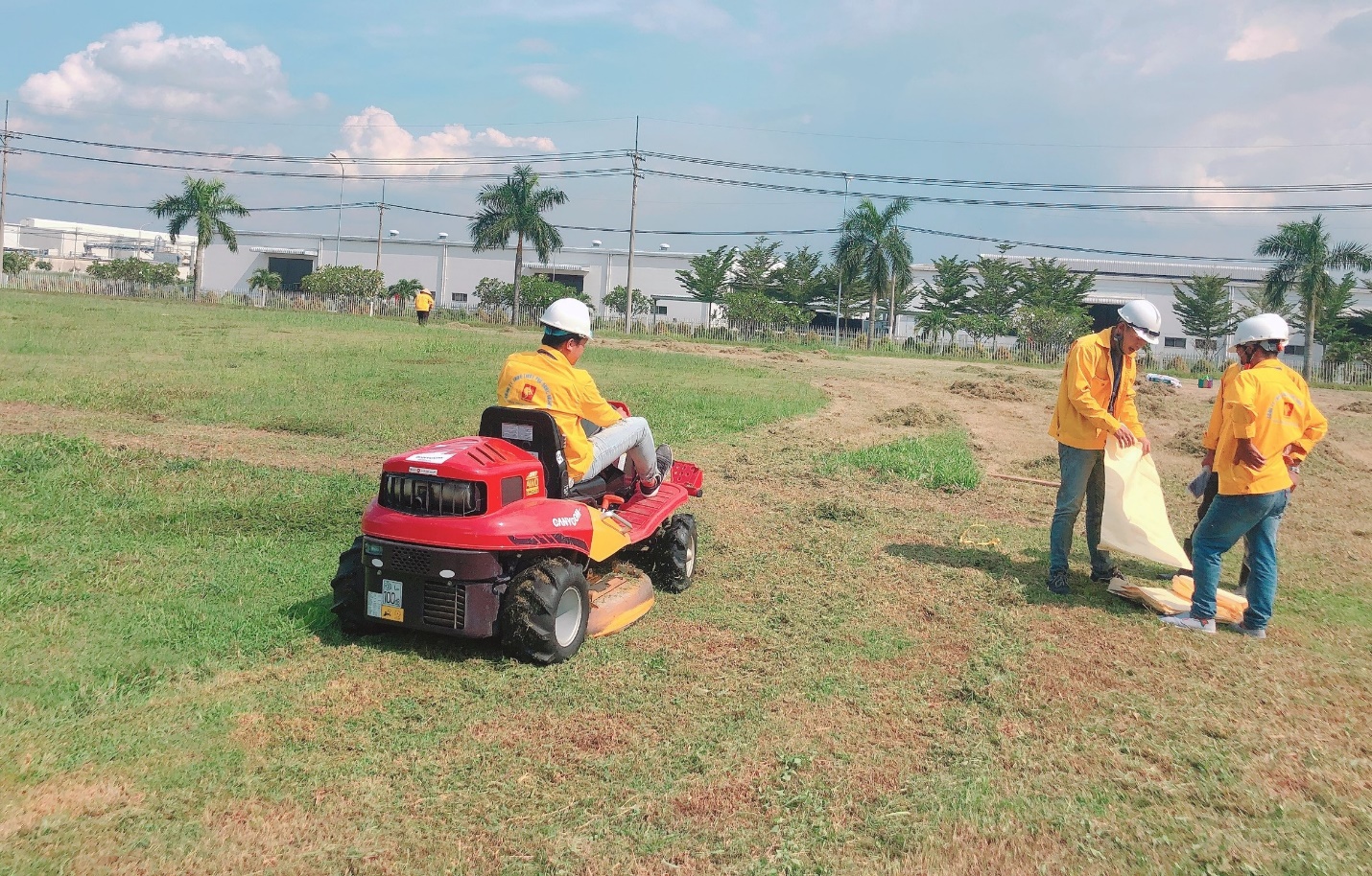 Dịch vụ cắt cỏ hoang, cỏ dại vệ sinh nhà máy ở Đồng nai, Vũng Tàu