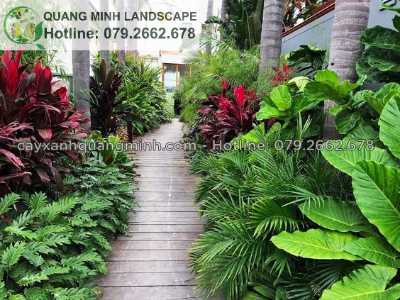 Thiết kế sân vườn đẹp đẳng cấp tại Đồng Nai, Long AN