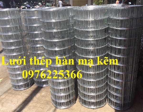 Lưới hàn mạ kẽm nhúng nóng D2a50x50, D3a50x50