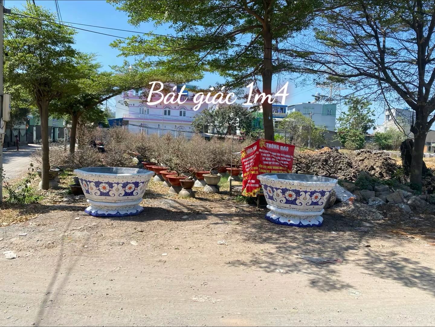 Chậu hoa _ chậu cảnh _ chậu hoa khảm miễng chén dĩa, ghép sành sứ _ ch