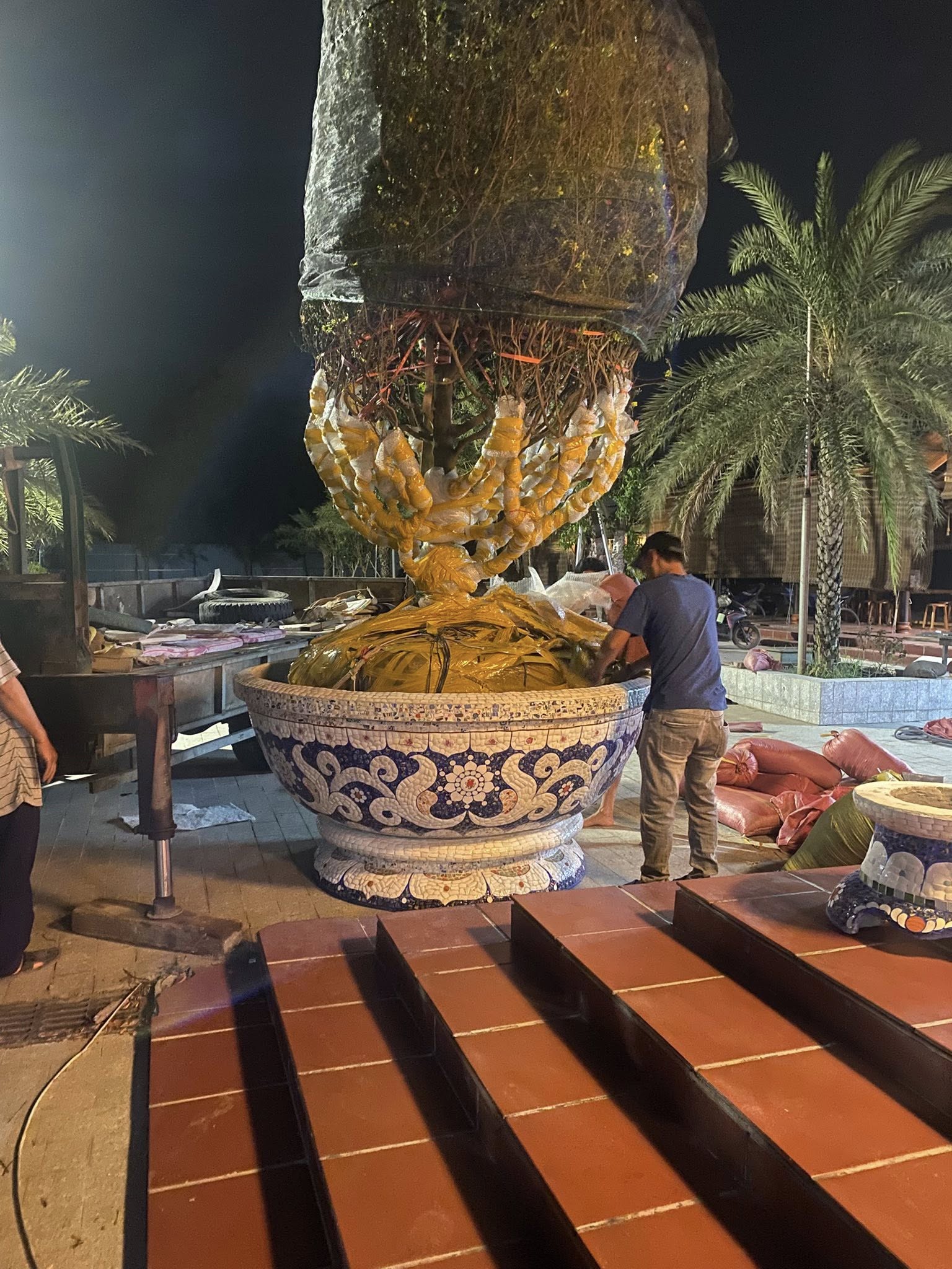 Chậu hoa _ chậu cảnh _ chậu hoa khảm miễng chén dĩa, ghép sành sứ _ ch