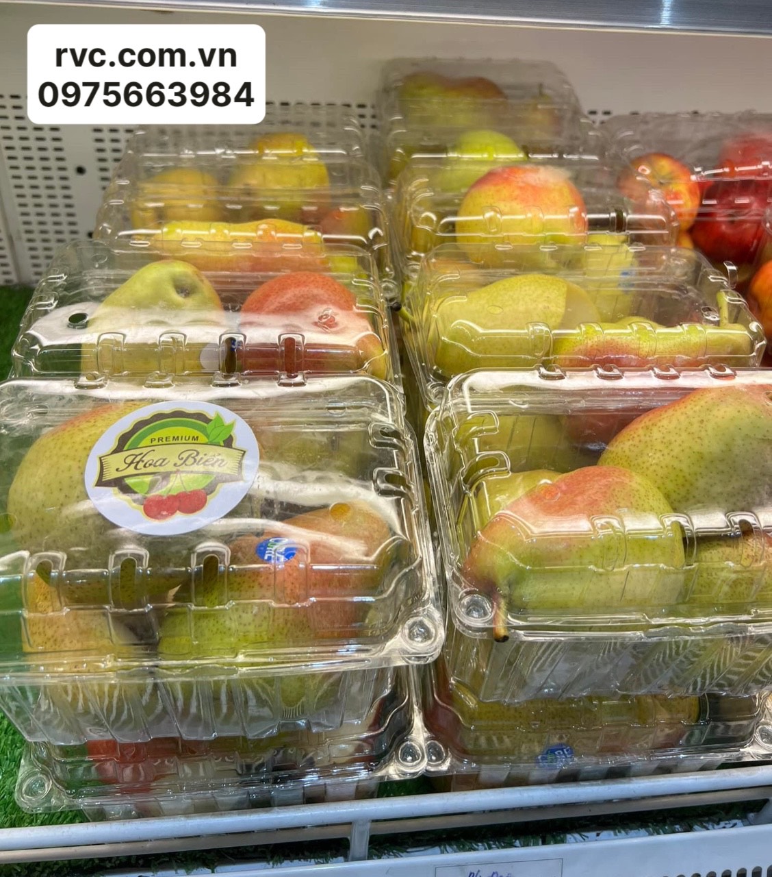 Hộp nhựa đựng trái cây 1kg P1000B đảm bảo chất lượng 