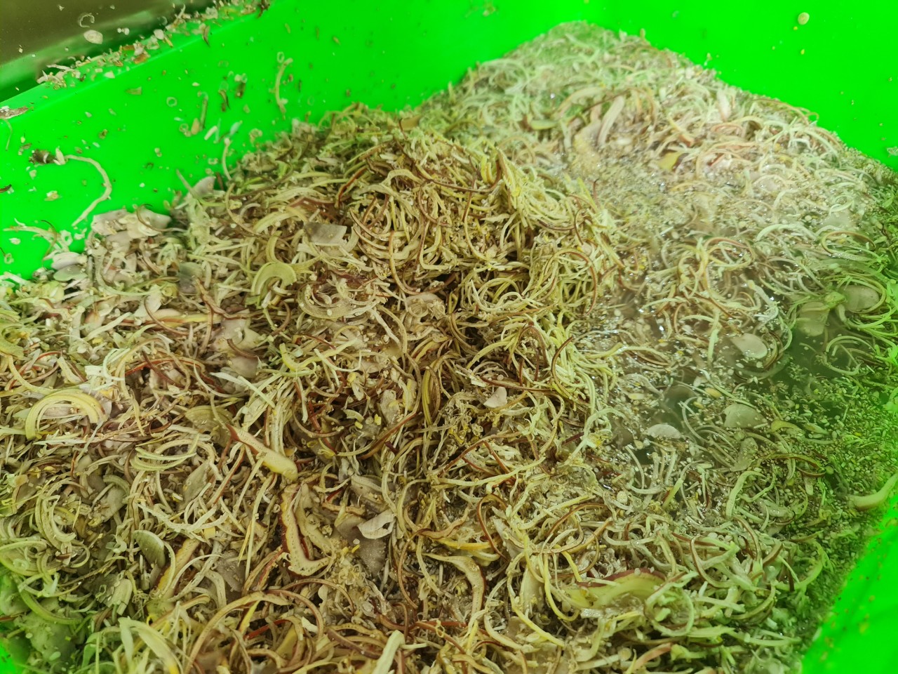 Máy Thái Lát Cấp Tay Được Sản Xuất Bởi Tech Garden