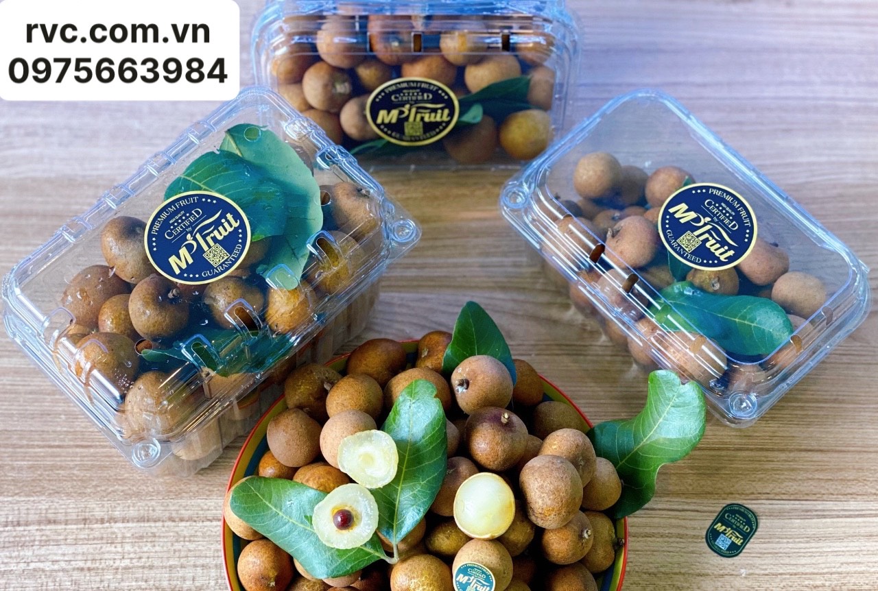 Hộp nhựa P500B - Sản phẩm không thể thiếu cho cửa hàng trái cây