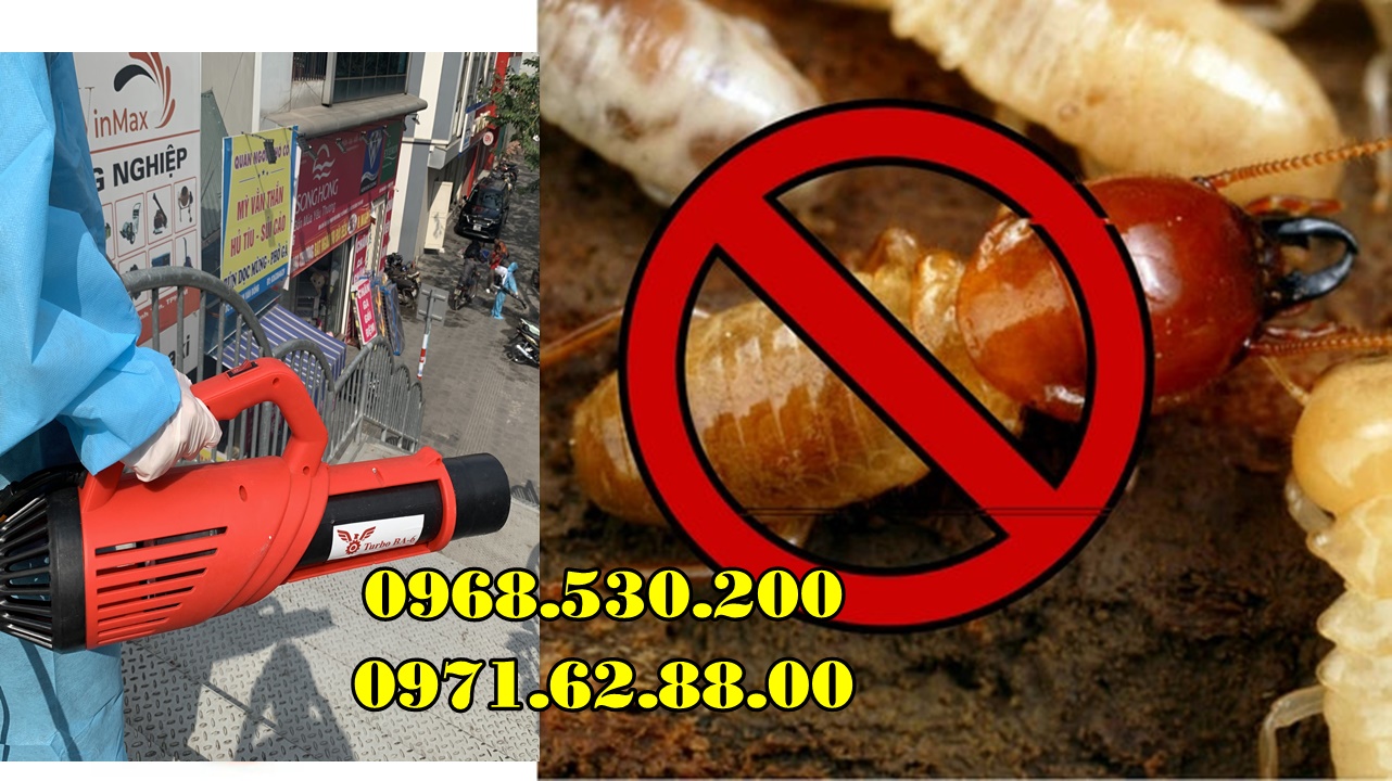Máy phun diệt mối , côn trùng Turbo BA-6 cao cấp