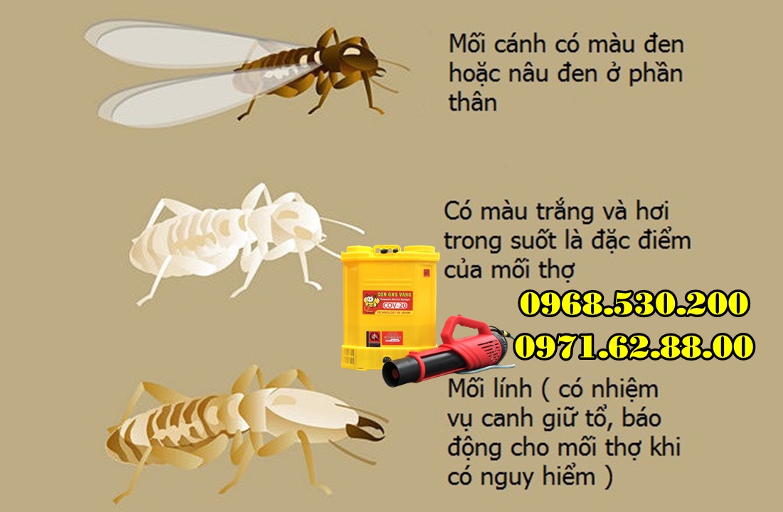 Máy phun diệt mối , côn trùng Turbo BA-6 cao cấp
