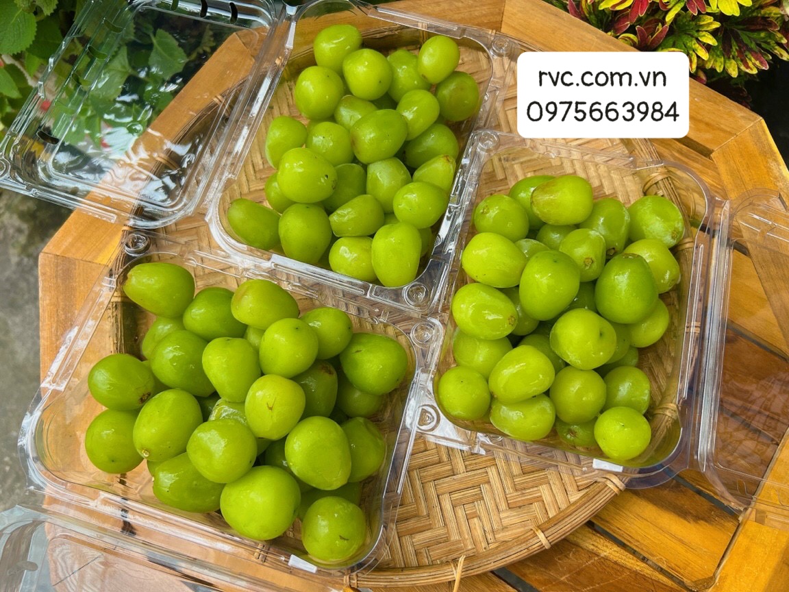 Chuyên sỉ hộp nhựa đựng nho cao cấp, chất lượng tại Đà Lạt 