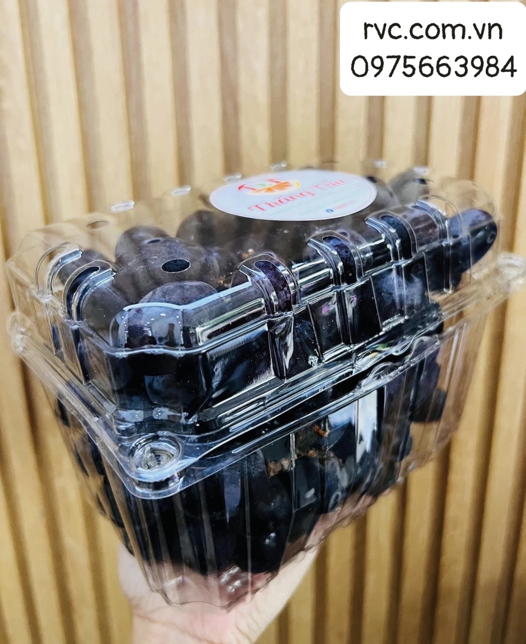 Chuyên sỉ hộp nhựa đựng nho cao cấp, chất lượng tại Đà Lạt 