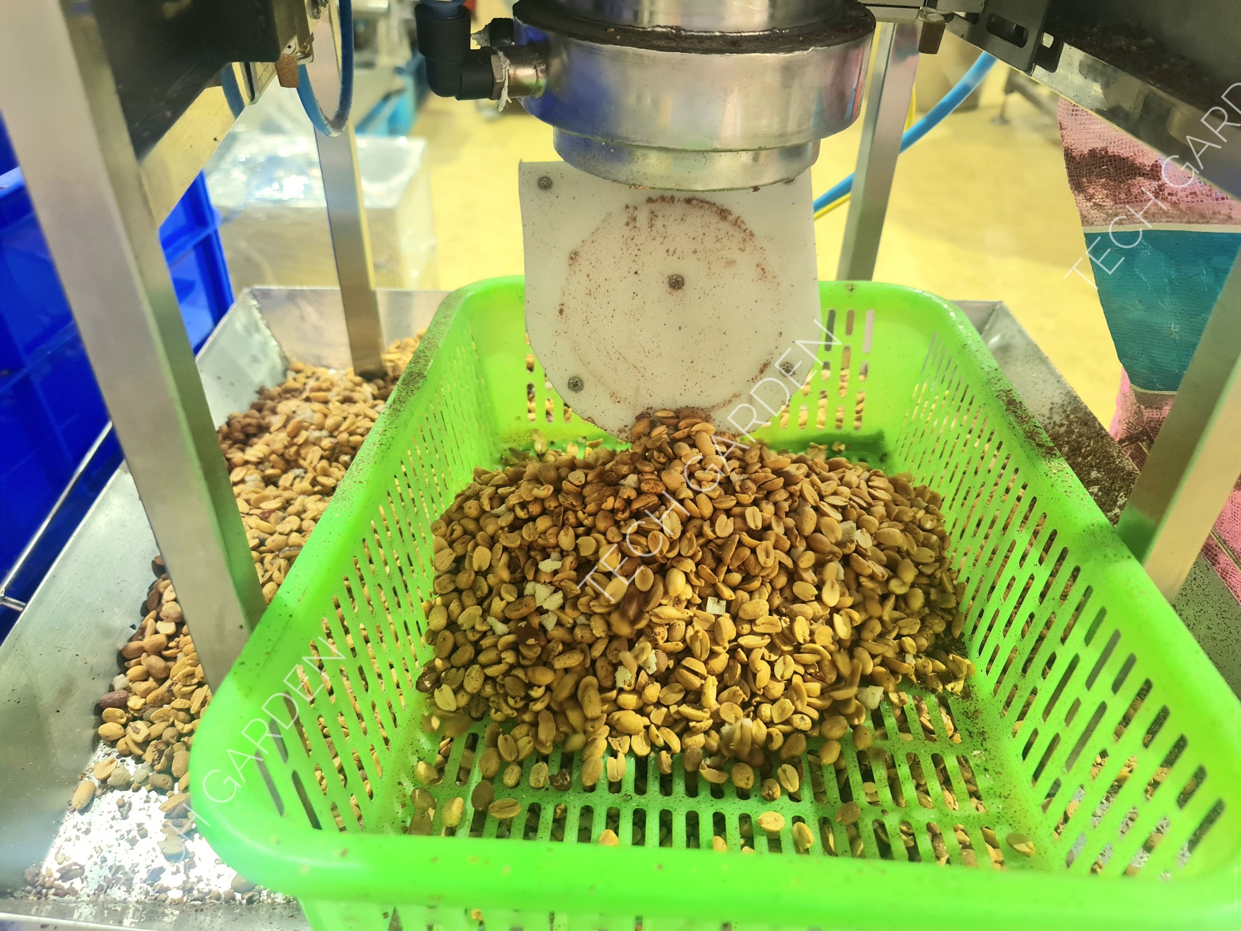 Máy Bóc Vỏ Tỏi, Hành Tự Động Tech Garden