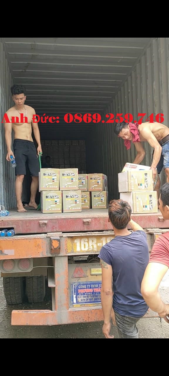 BỘ MÁY RỬA XE CAO ÁP 220V, CHỐNG GIẬT, TỰ ĐỘNG, SỨC NƯỚC MẠNH