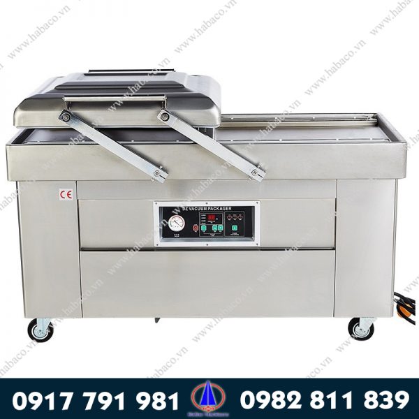 Máy hút chân không công nghiệp DZQ 600 2 buồng