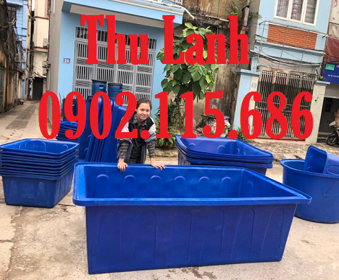 Thùng nhựa đựng nước dung tích lớn trữ nước, nuôi trồng 