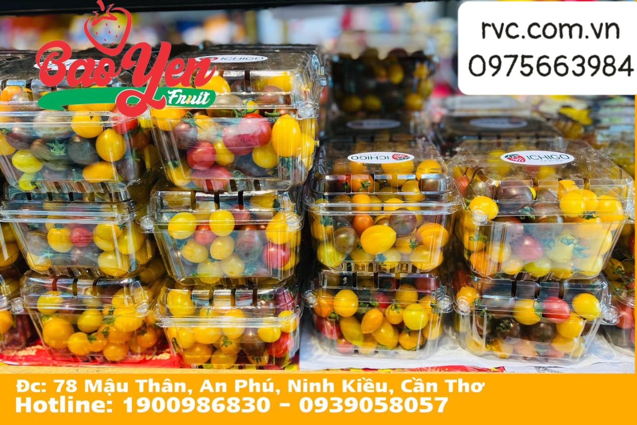 Hộp nhựa trái cây - Nhưng lưu ý trong chọn lựa và sử dụng 