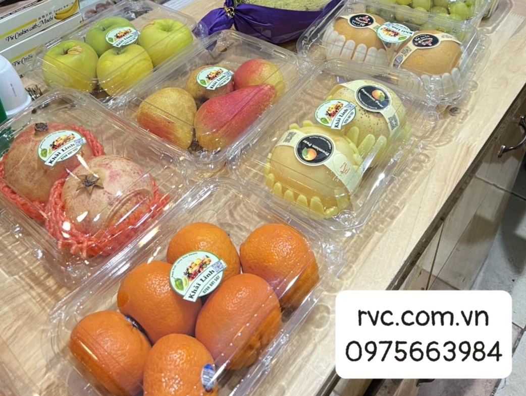 Gợi ý những mẫu hộp nhựa đựng hoa quả chất lượng trên thị trường 