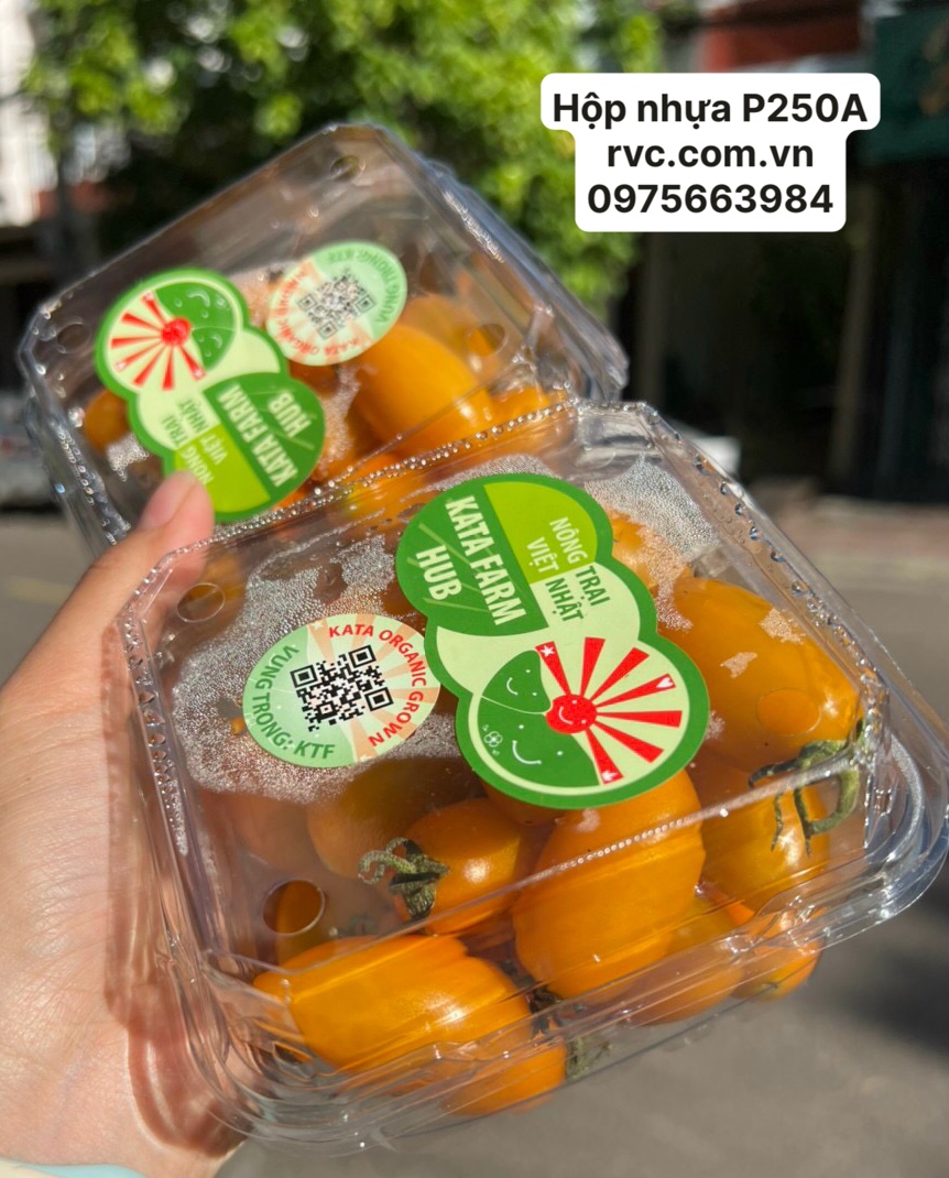 Chuyên bán giá sỉ hộp nhựa đựng hoa quả 300g cho cửa hàng trái cây 