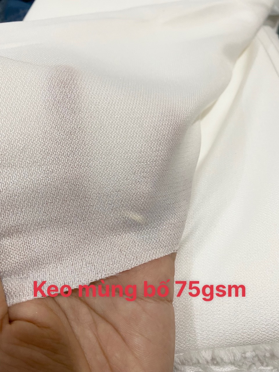 Sỉ lẻ keo mùng bố - keo mùng ngựa chuyên dùng trong veston