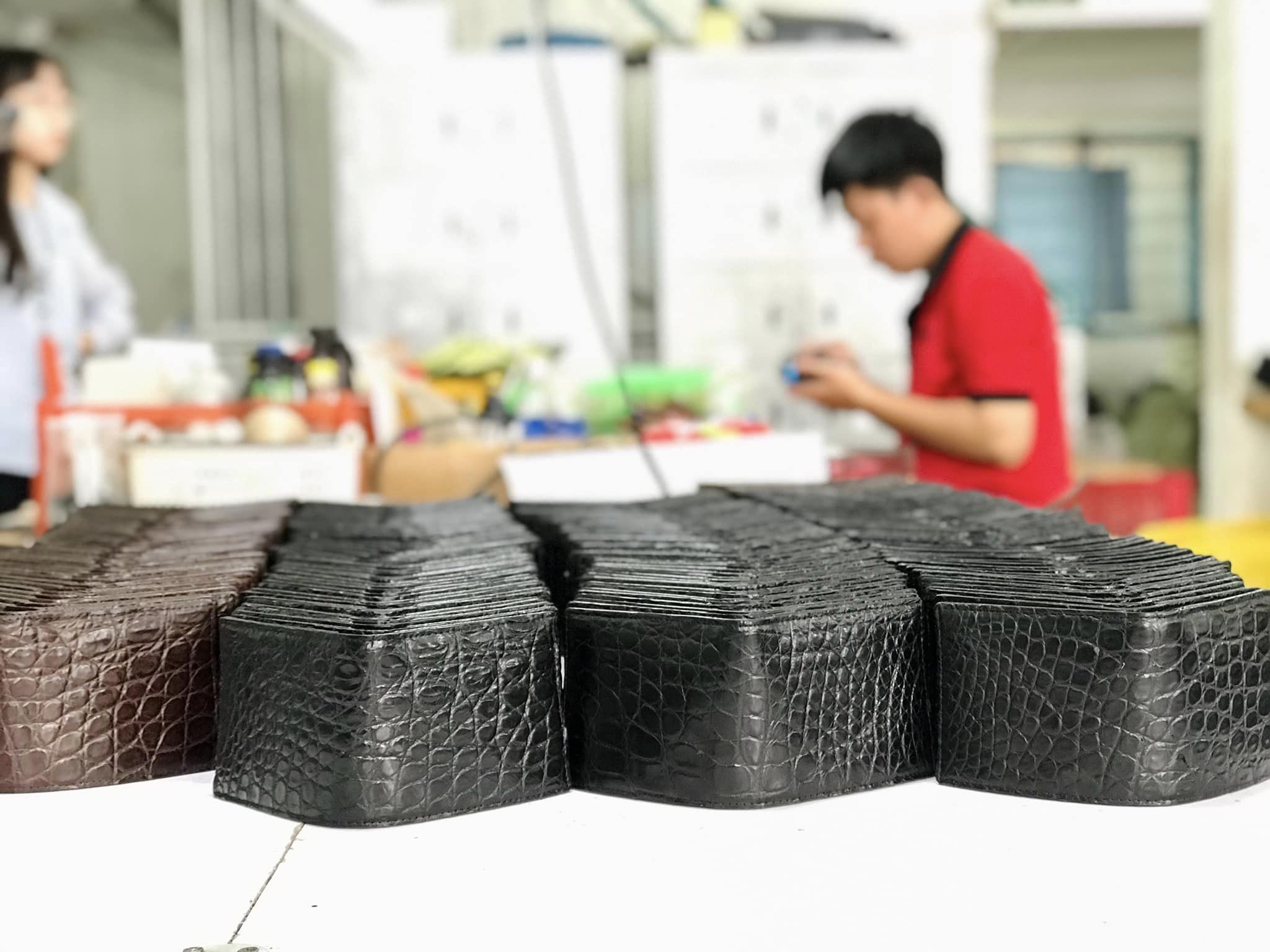Bạn đang tìm lô cá sấu giá xưởng - Sẵn kho 1000 sản phẩm