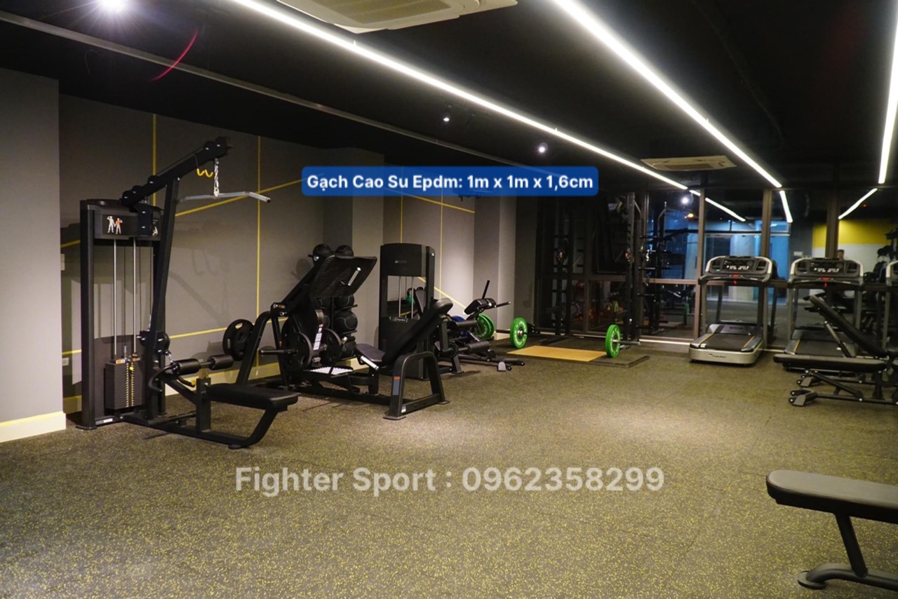 Gạch cao su phòng Gym, Boxing cao cấp HÀ NỘI