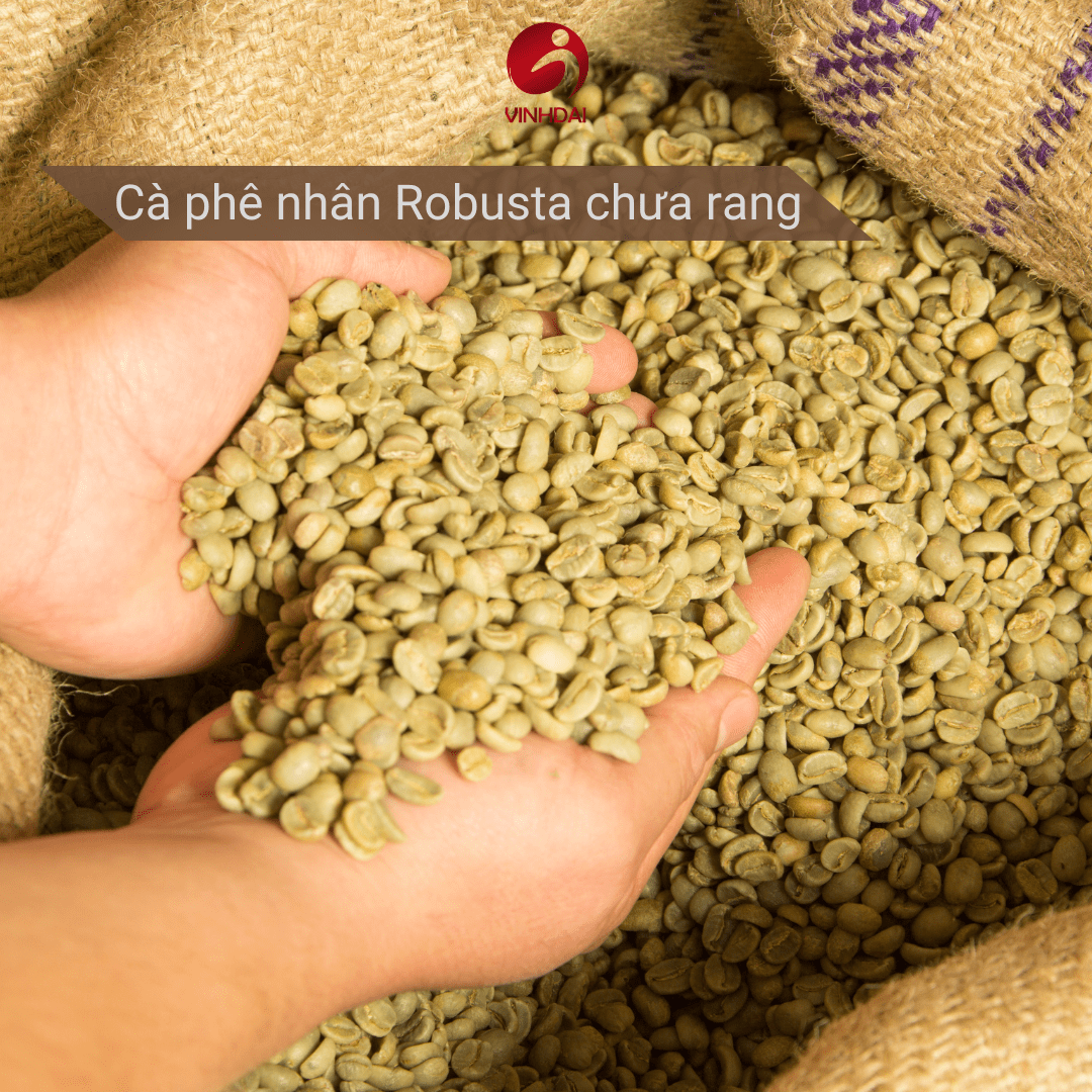 Cà phê Robusta hữu cơ nhân xanh, rang xay, cà phê mix