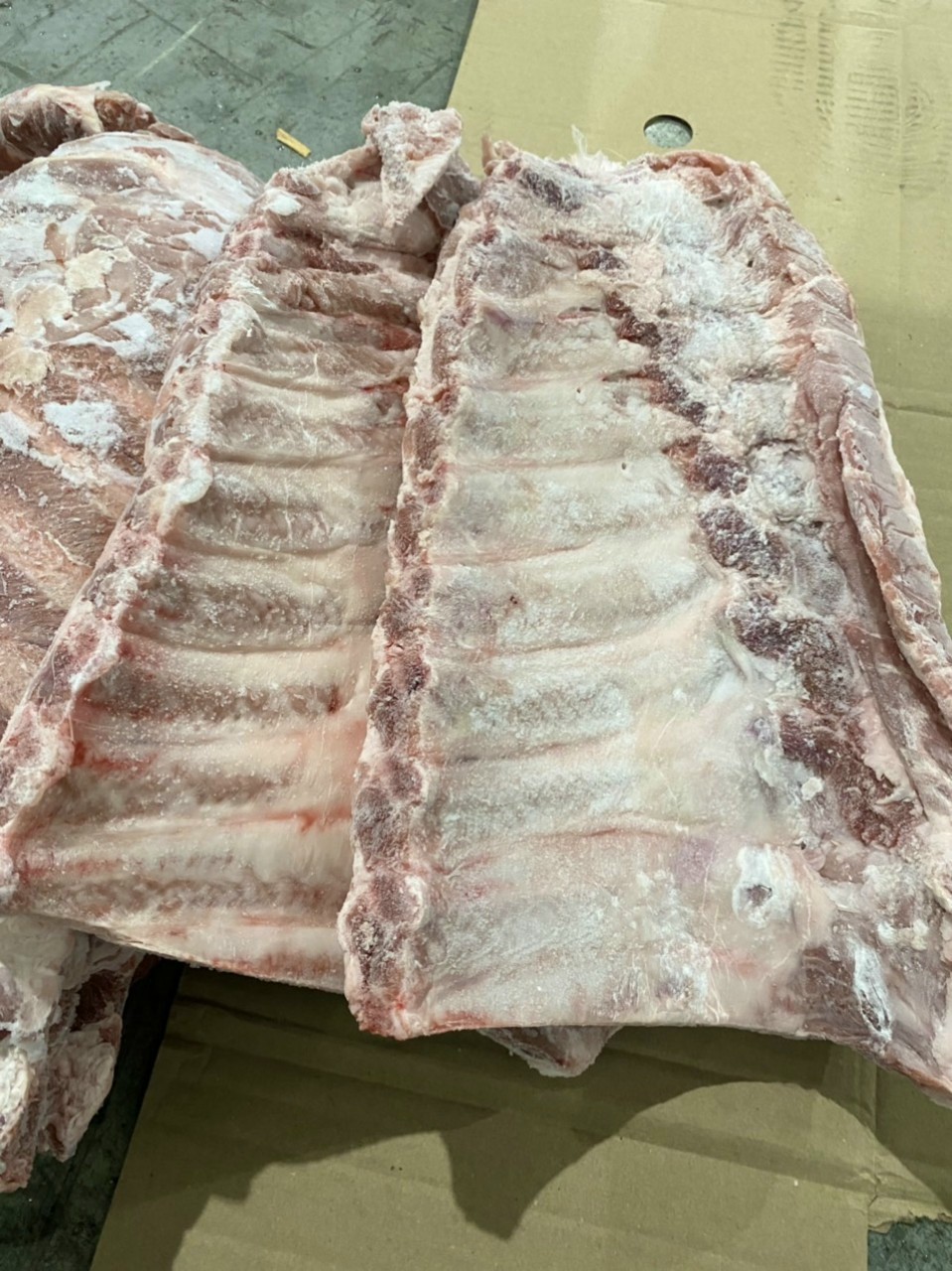 Cung cấp thịt heo, sườn heo các loại nhập khẩu giá tốt