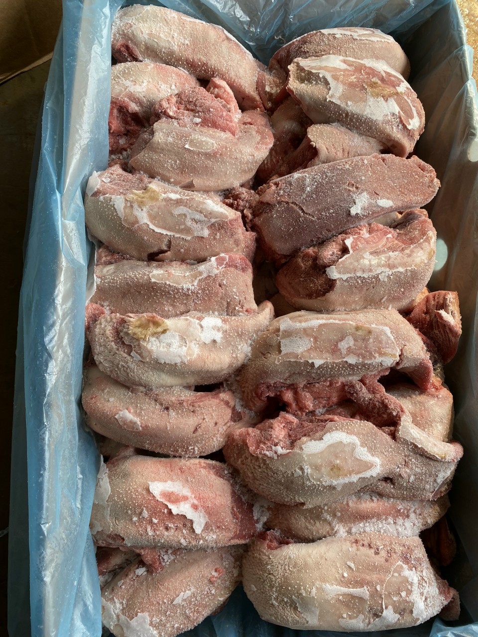 Bán buôn lưỡi heo đông lạnh số lượng lớn ở HN