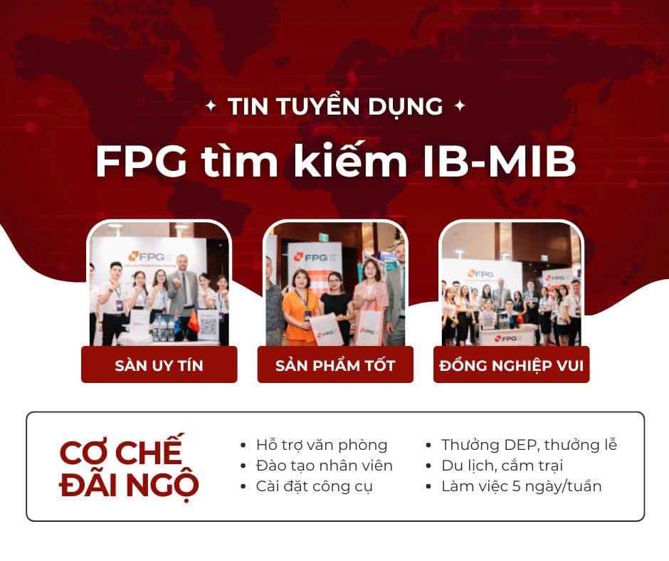 IB, MIB, cộng tác viên thị trường Forex, đầu tư tài chính