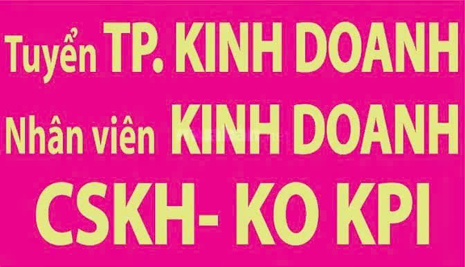 Cty Ô Dù Việt tuyển TPKD, NVKD, CSKH ko áp KPI thu nhập ổn định
